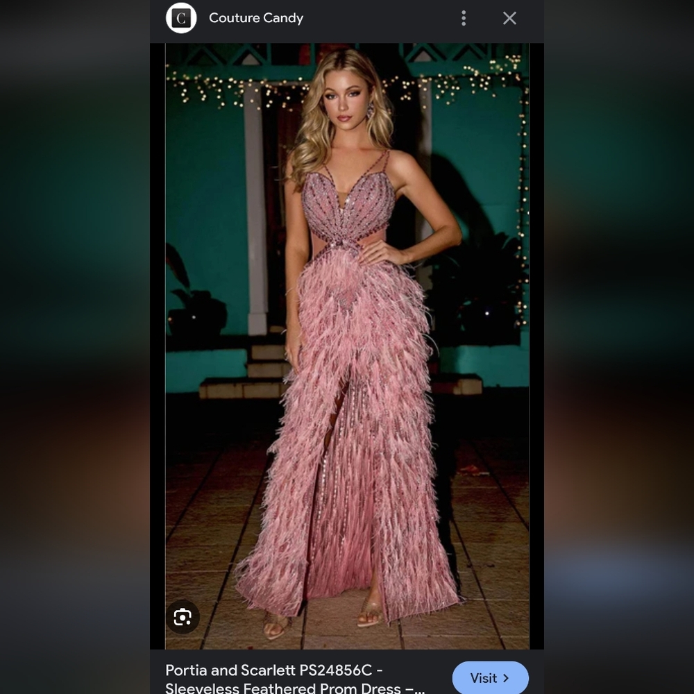 Portia and Scarlett Blush Feathered Gown